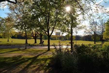 ommetje goffertpark.webp