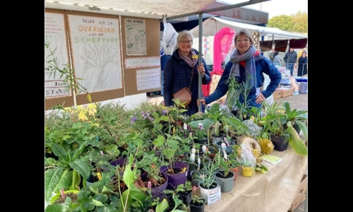 plantjesmarkt.png