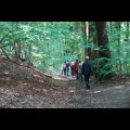 DSC03320.JPG