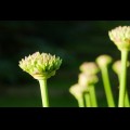 P1060347-scaled.jpg