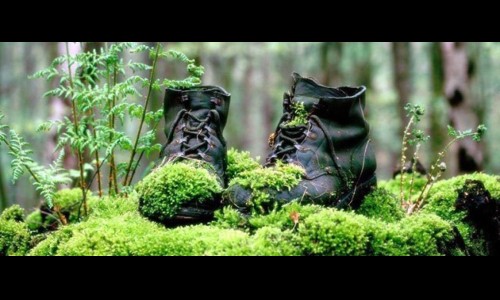wandelschoenen meditatief.jpg