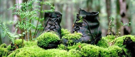wandelschoenen meditatief.jpg