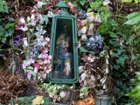 DSC03304.JPG