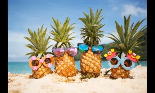 ananas.webp